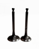 Set supape (admisie + evacuare) motosapa / motocultor LC1200 motor LONCIN LC175F-2 (8CP)