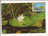 CA16 -Carte Postala- Vedere din Delta Dunarii, circulata 1979