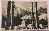 Carte Postala , Muntii Bucegi , 1954, Circulata, Fotografie