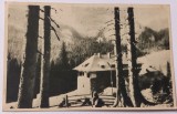 Carte Postala , Muntii Bucegi , 1954