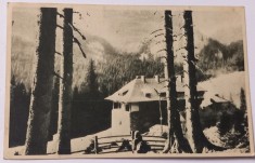 Carte Postala , Muntii Bucegi , 1954