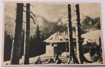 Carte Postala , Muntii Bucegi , 1954 foto