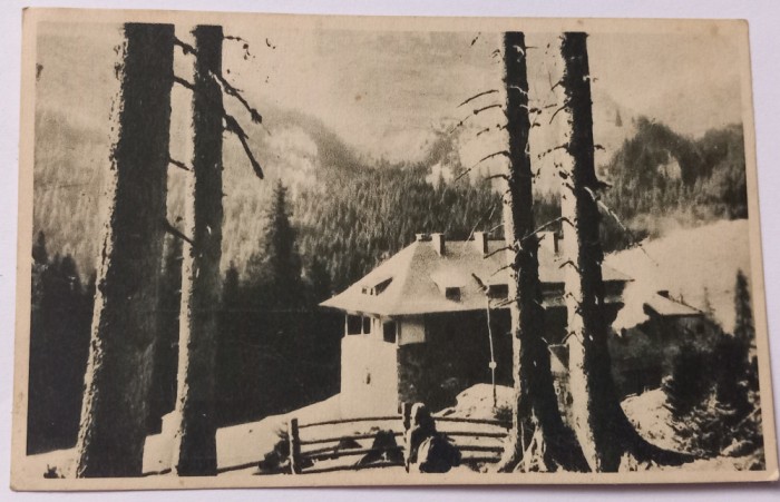 Carte Postala , Muntii Bucegi , 1954