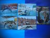 HOPCT LOT NR 593 DELFINARIU CONSTANTA-CT-5 CARTI POSTALE-RSR-NECIRCULATE, Circulata, Printata
