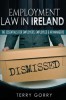 Employment Law in Ireland: A Guide in Plain English for Employers and Employees