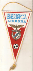 Fanion Benfica Lisabona foto