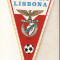 Fanion Benfica Lisabona