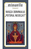 Minunile Icoanei. Maica Domnului. Potirul Nesecat