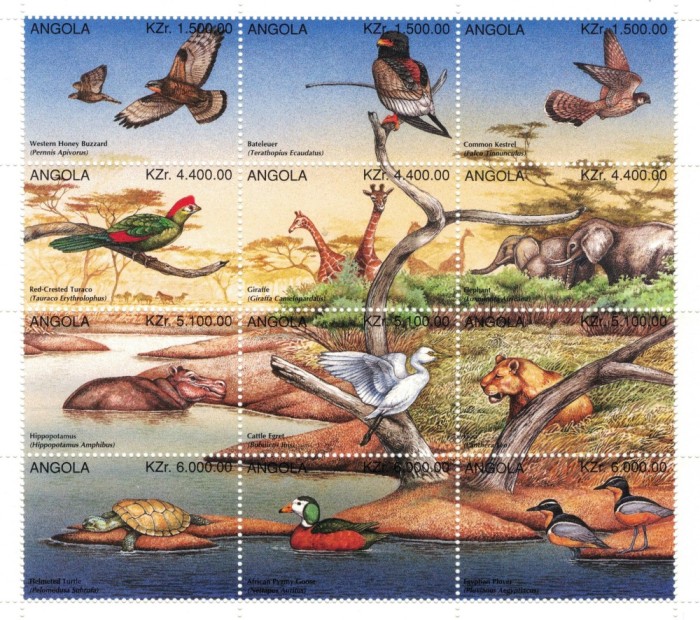 ANGOLA 1996 - Animale salbatice / colita MNH