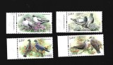 china porumbei mnh