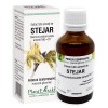 EXTRACT DIN AMENTI DE STEJAR 50ML, Plantextrakt