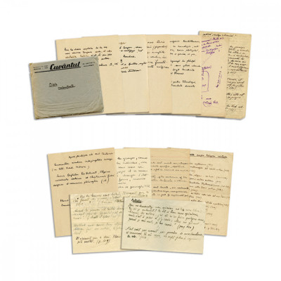 Mircea Eliade, Citate neclasificate + note varia, 50 file manuscris - D foto