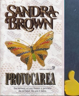 Provocarea Sandra Brown foto