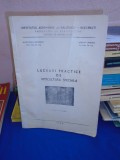 Cumpara ieftin MAGDALENA GEORGESCU - LUCRARI PRACTICE DE VITICULTURA SPECIALA , 1986