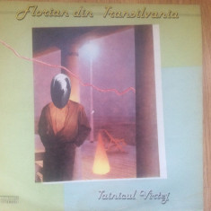 florian din transilvania tainicul vartej disc vinyl lp muzica new wave rock VG+