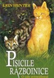 Cumpara ieftin O cale primejdioasa. Seria Pisicile razboinice. Volumul 5/Erin Hunter
