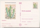 bnk cp Cactusi - necirculata - marca fixa - 022/97