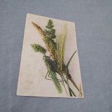 Cumpara ieftin CARTE POSTAL FELICITARE 1910 CIRCULATA