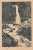 Poiana-Tapului. Urlatoarea (1935, circulata 1936)