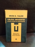 Irvin D. Yalom - Calaul Dragostei