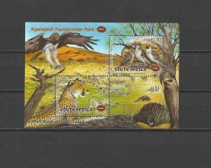 AFRICA DE SUD 2001 FAUNA ANIMALE SALBATICE DIN REZERVATIA KGALAGADI foto
