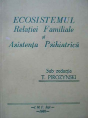 Ecosistemul Relatiei Familiale Si Asistenta Psihiatrica - Sub Redactia T. Pirozynski ,285597 foto