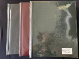 Cumpara ieftin Album ELEGANT pentru 200 de monede &icirc;n cartonase cu 10 folii A4, culoare verde
