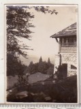 bnk foto Sinaia - La Stana regala - 1928