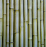 Tapet bambus Ugepa J22304