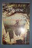ANDREI PLESU - Pitoresc si Melancolie, Humanitas 1992, Filosofie, Carte