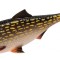 Naluca Mft Roach 8Cm/Pike - 4Buc