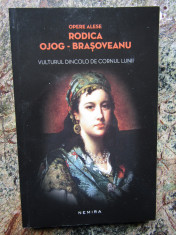 Rodica Ojog-Brasoveanu - Vulturul dincolo de cornul lunii foto