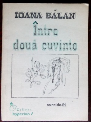 IOANA BALAN - INTRE DOUA CUVINTE: TEXTE LIRICE (VERSURI 1992/DESENE IOANA BALAN) foto