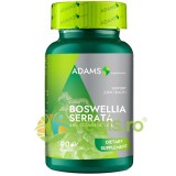 Extract de Tamaie (Boswellia Serrata) 90cps
