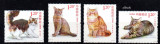 CHINA 2013, Fauna, Pisici, serie neuzată, MNH, Nestampilat