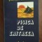 Pisica de Eritreea- Stefan Damian