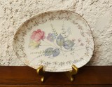 FARFURIE DIN PORTELAN FIN, CREM MARCAJ PT BAVARIA TIRSCHENREUTH L20CM