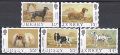 Jersey 1988 - C&amp;acirc;ini, MNH foto