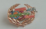 QW9 N7 63 - insigna - JCI la 100 de ani - 2015
