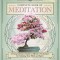Llewellyn&#039;s Complete Book of Meditation: A Comprehensive Guide to Effective Techniques for Calming Your Mind and Spirit