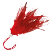 Accesoriu erotic DARKNESS Red Stimulating Feather, pentru stimulare senzorială delicată, culoare roșu