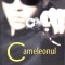 CAMELEONUL-GEORGE ARION-271681