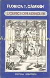 Cumpara ieftin Licuricii Din Adincuri - Florica Campan, Matematica Fundamente, Albatros 1983, 229 pagini