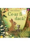 Cumpara ieftin Ce-ar fi daca? - Britta Teckentrup