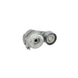 Intinzator curea MERCEDES-BENZ R-CLASS W251 V251 DAYCO APV3062