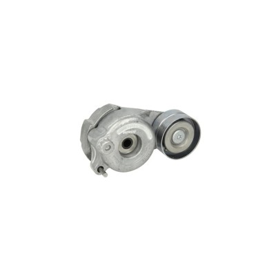 Intinzator curea MERCEDES-BENZ R-CLASS W251 V251 DAYCO APV3062 foto