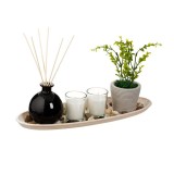 Set compus din planta decorativa, doua lumanari si sticluta cu betisoare pentru uleiuri aromatice, Lemn/Sticla/Ceramica, 39,5x10x15 cm