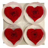 Trandafir Criogenat BELLA CORAZON RED-02 (&Oslash;7-8cm, 4 buc /cutie)