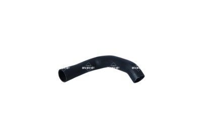 NRF 166056 Furtun ear supraalimentare foto