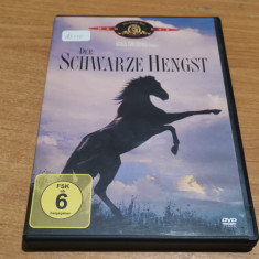 Film DVD Der Schwarze Hengst #A3110